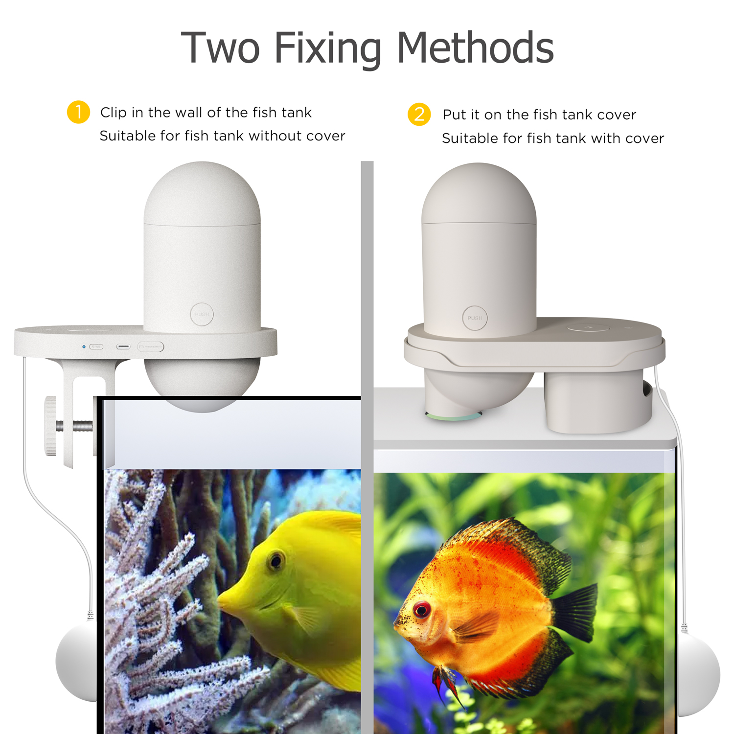 SANKTON WiFi Control Automatic Intelligent Visual Fish Feeder with 2K
