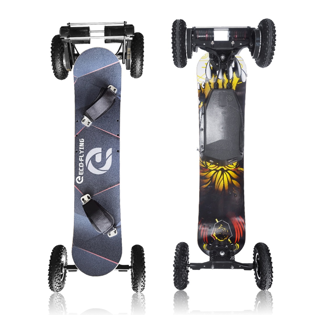 ECOFLYING Off road remote control 1650w dual motor 36v 10000mAh