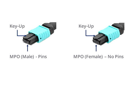 MPO connectors female male type