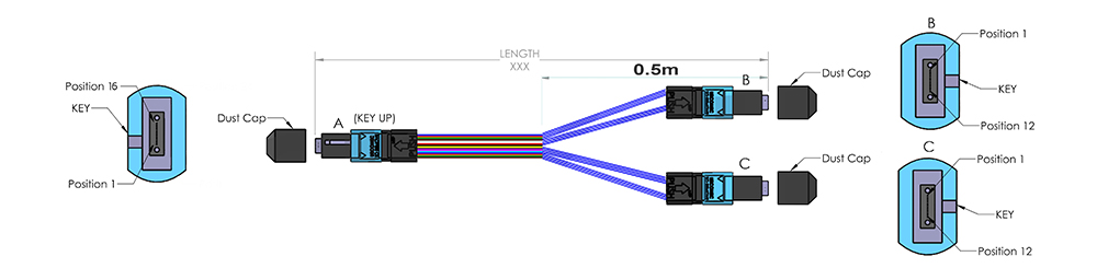 400GBASE-SR8 QSFP-DD to 2x 200GBASE-SR4 breakout