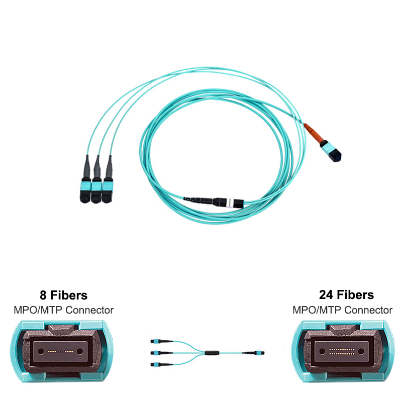 Single MPO-24 (Female) to 3 x MPO-8 (Female) OM3 Multimode Conversion Y Cable Option A