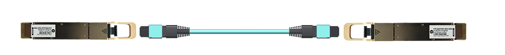 QSFP-DD 400G-SR8 MPO-16 connections