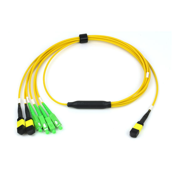 MTP-20 to 2x MPO-8 and 2x SC Duplex Singlemode Fiber Breakout Cable