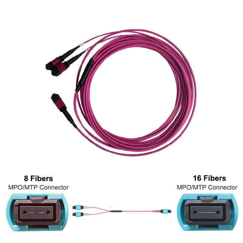Single MPO-16 (Female) to 2 x MPO-8 (Female) Multimode OM4 Fiber Conversion Splitter Cable