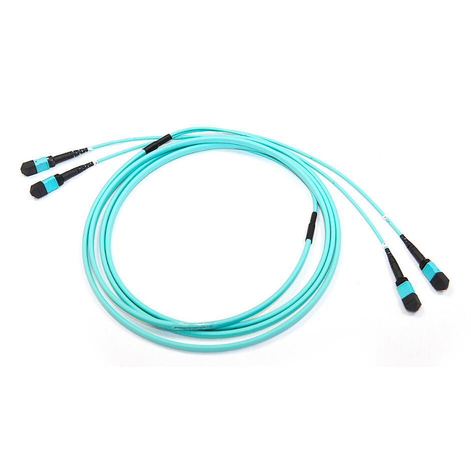 2x MPO to 2x MPO Multi-connector 24 Fibers Multimode OM3 Fiber Optic Trunk Cable