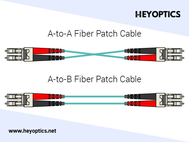 Fiber Polarity Basic