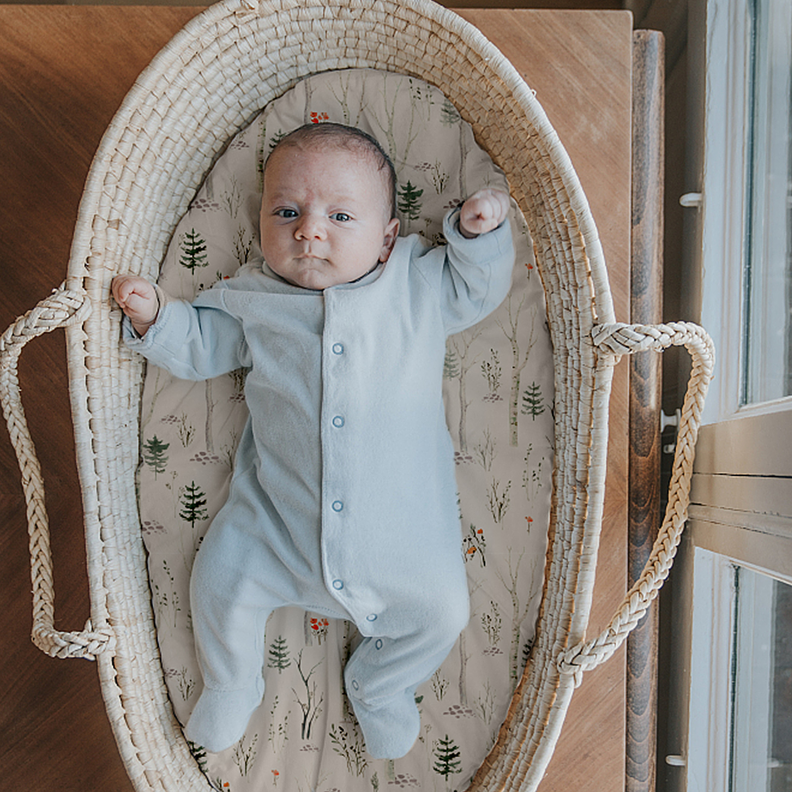 Natural History | Bassinet Sheets 2-Pack | 16''*32''