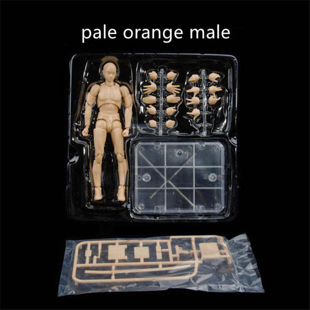 Anime Action Figure Toy Body Kun Body Chan Collectible-xinru