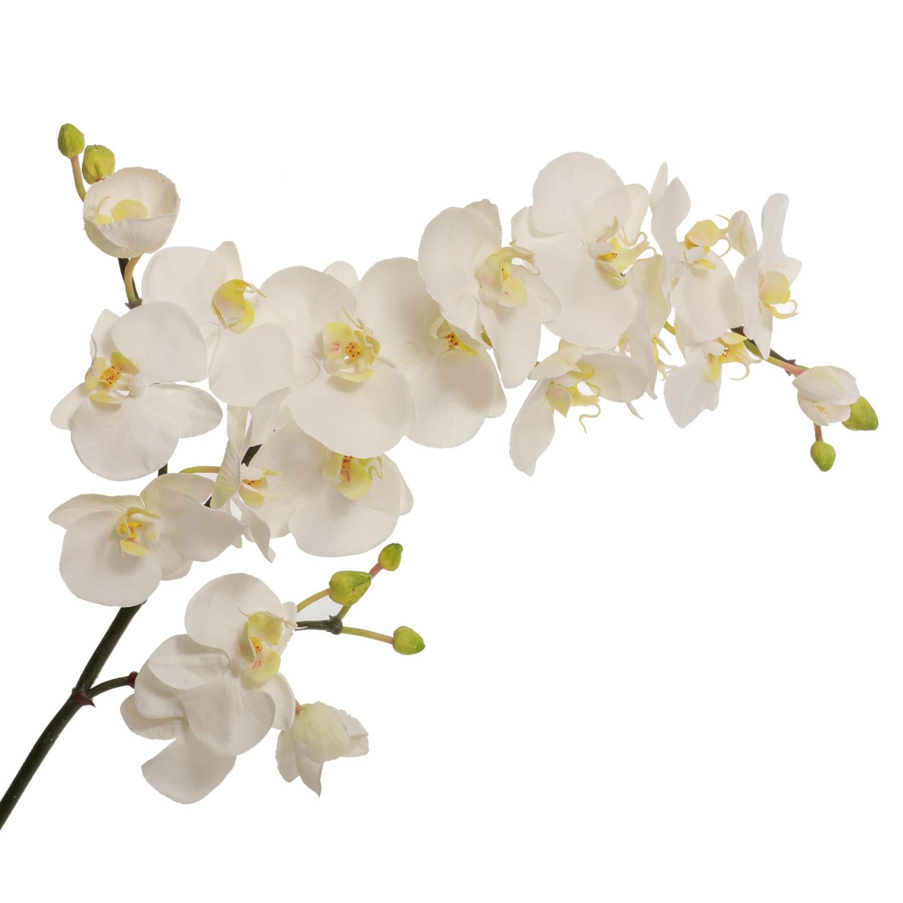 Artificial White Spray Orchid Phalaenopsis 42"-xinru shop