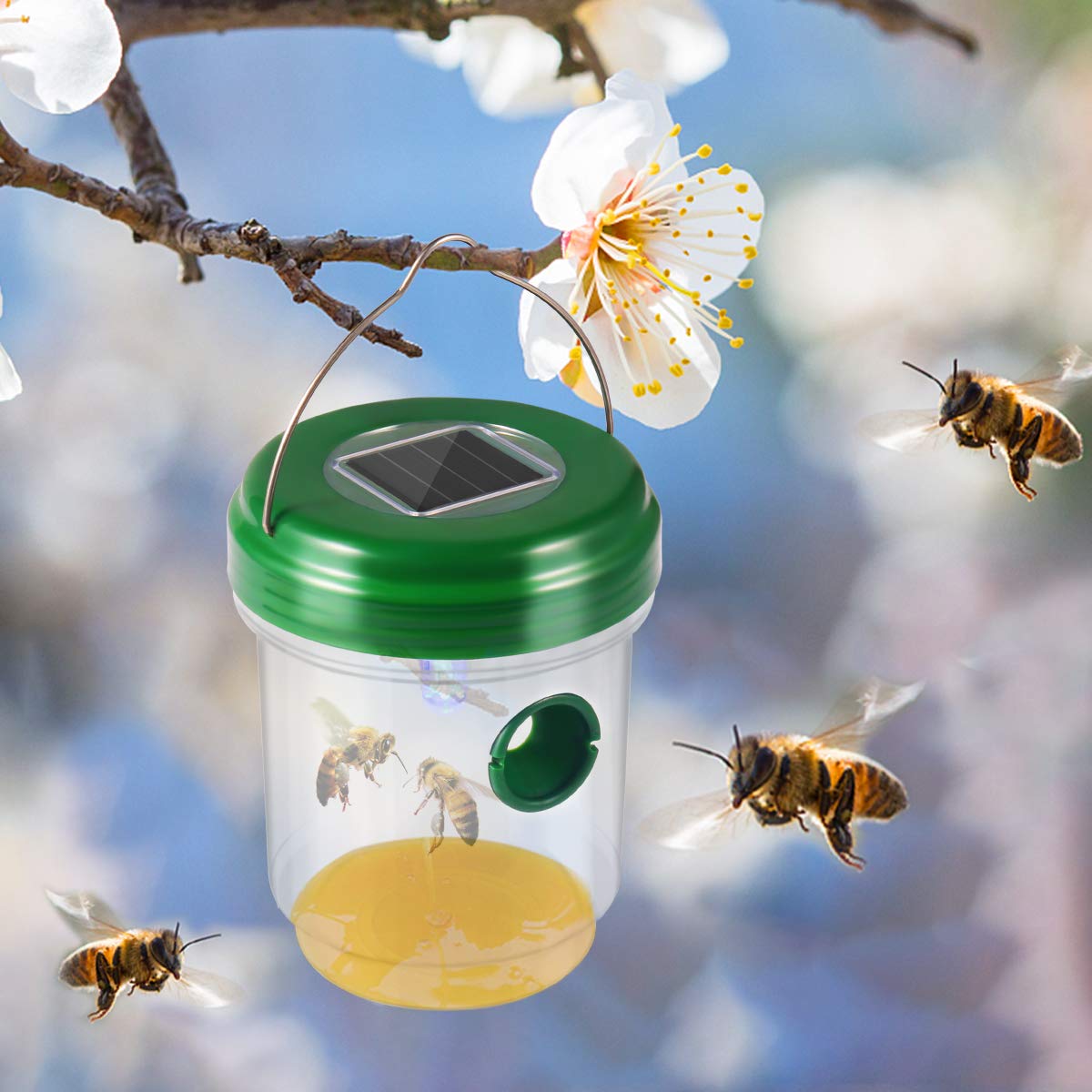 Solar Powered Wasp Trap Catcher Killer with UV LED Light, Hornet Trap, Yellow Jackets Traps and Wasp Traps for Outdoors, Wasp Killer, Hornets Trap, Effective and Reusable - Walmart.com