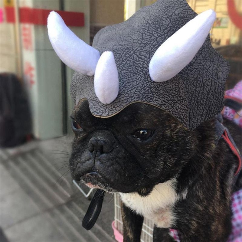 Triceratops Dog Costume Black | Dog Dinosaur Costume | Dog Costume-xinru