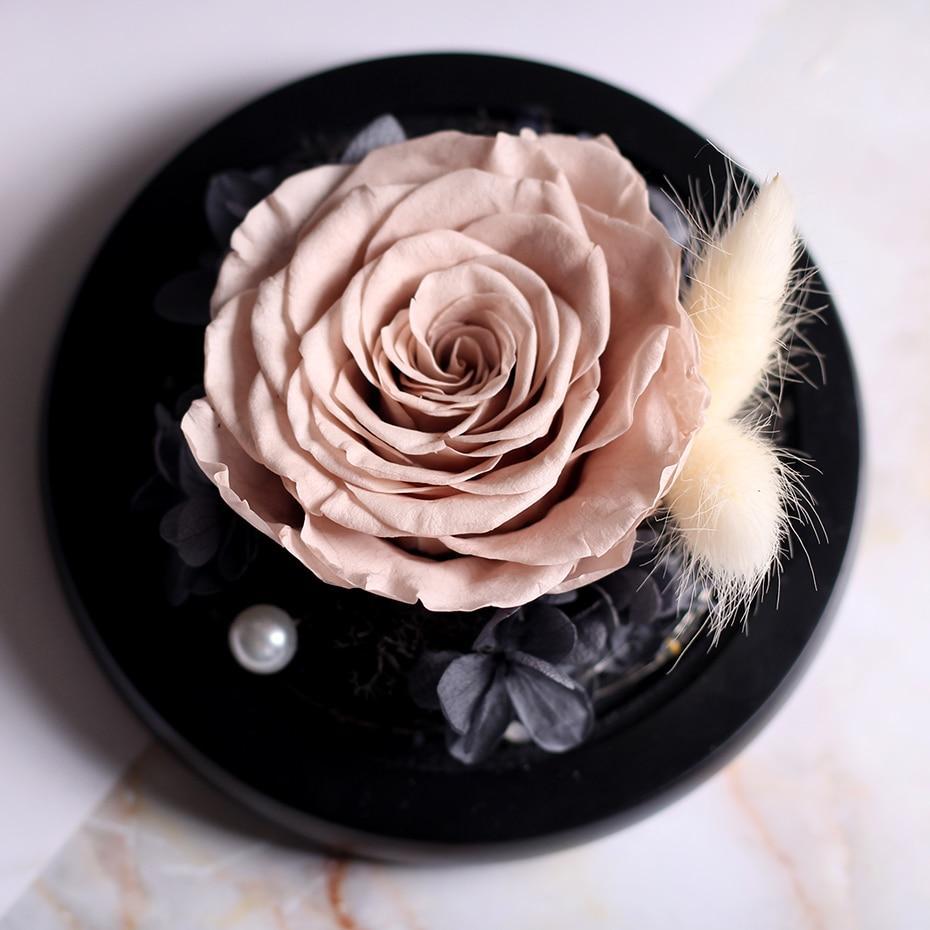 Mother's Day Gift Immortal Enchanted Rose Glass Heart Dome-xinru