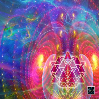 Dimitri the Frog Trippy Psychedelic Tapestry Wall Hanging-xinru shop