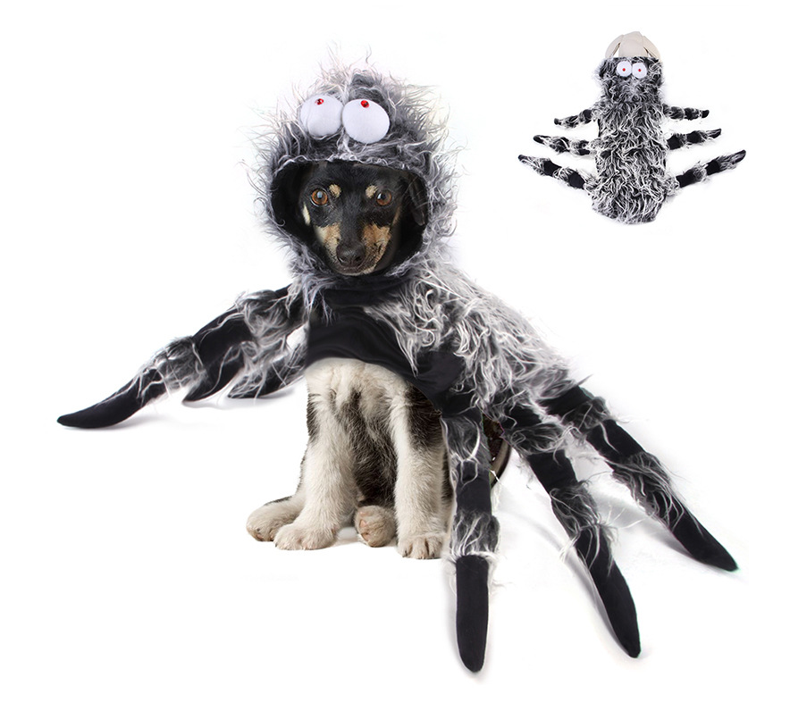 Halloween Spider Dog Costume-xinru