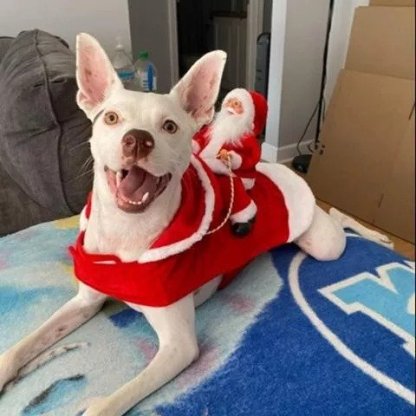 Christmas Pet Clothes-Santa Claus Riding Pet Cosplay Costumes-xinru shop