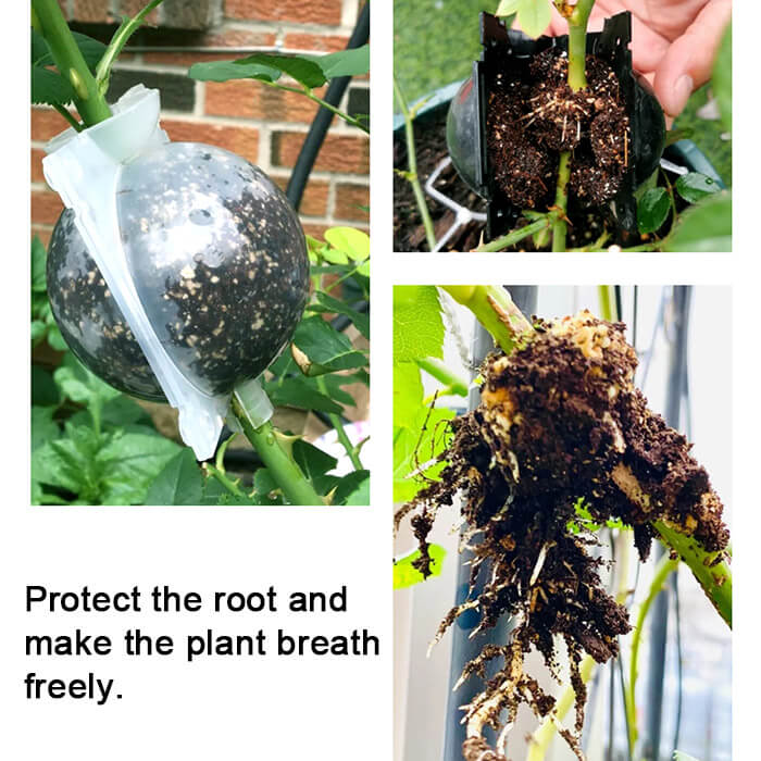 Reusable Air Layering Propagation Balls-xinru