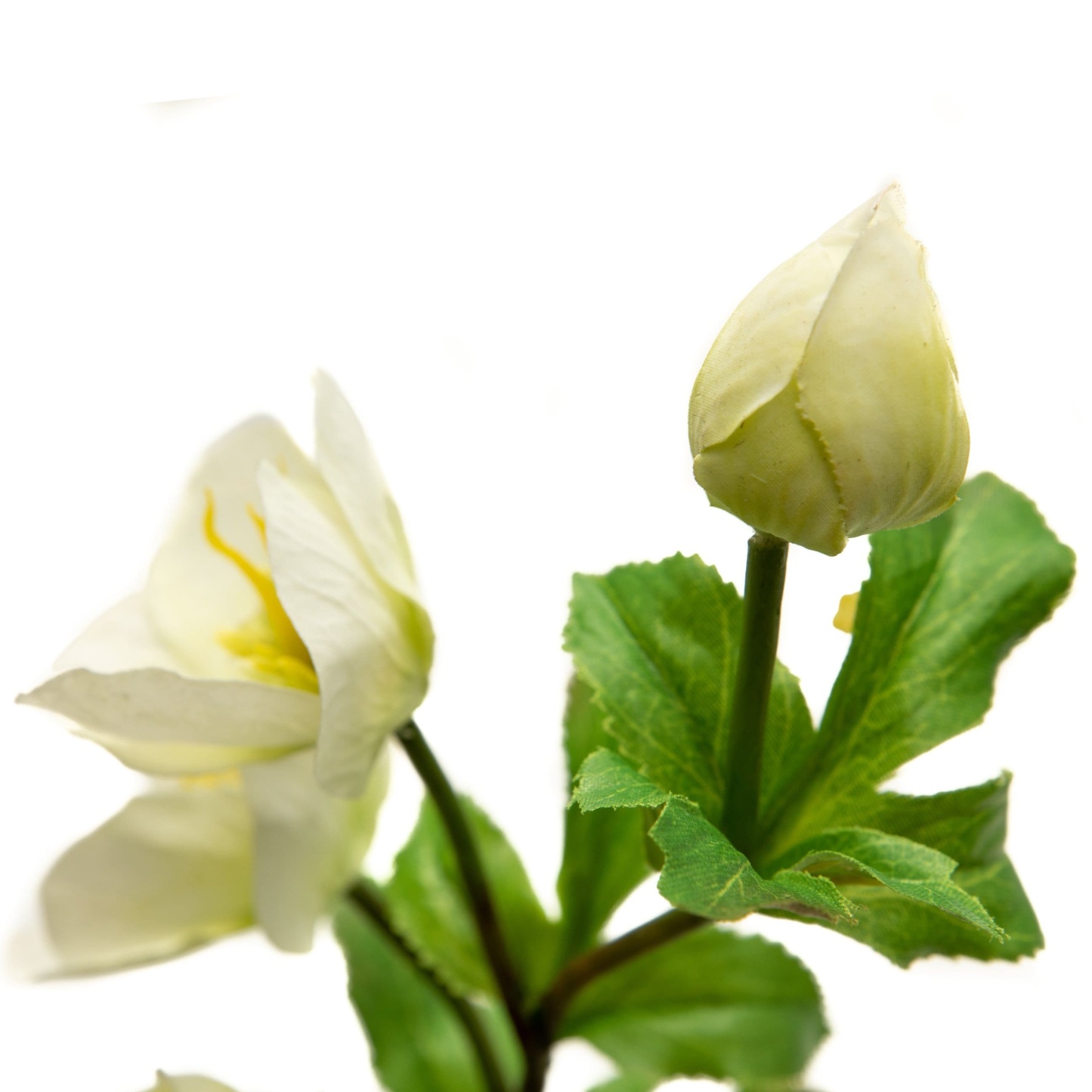 Artificial White Winter Hellebore 18"-xinru shop
