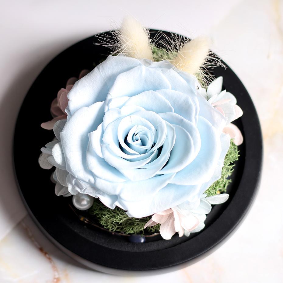 Mother's Day Gift Immortal Enchanted Rose Glass Heart Dome-xinru