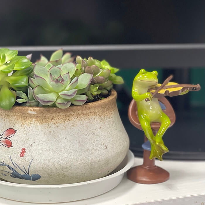 Cute Rural Cartoon Frog Resin Figurine Garden Ornament-xinru