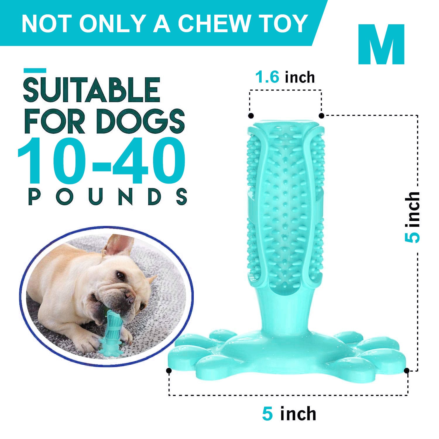 Dog Toothbrush Chew Toys Natural Rubber  Toy-xinru