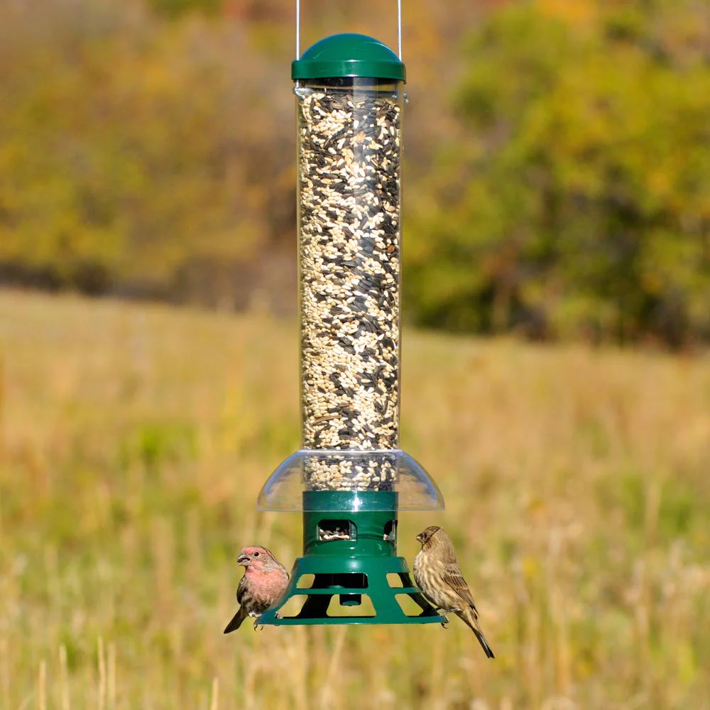 Squirrel Proof Bird Feeder - 3.5 lb. Capacity-xinru shop
