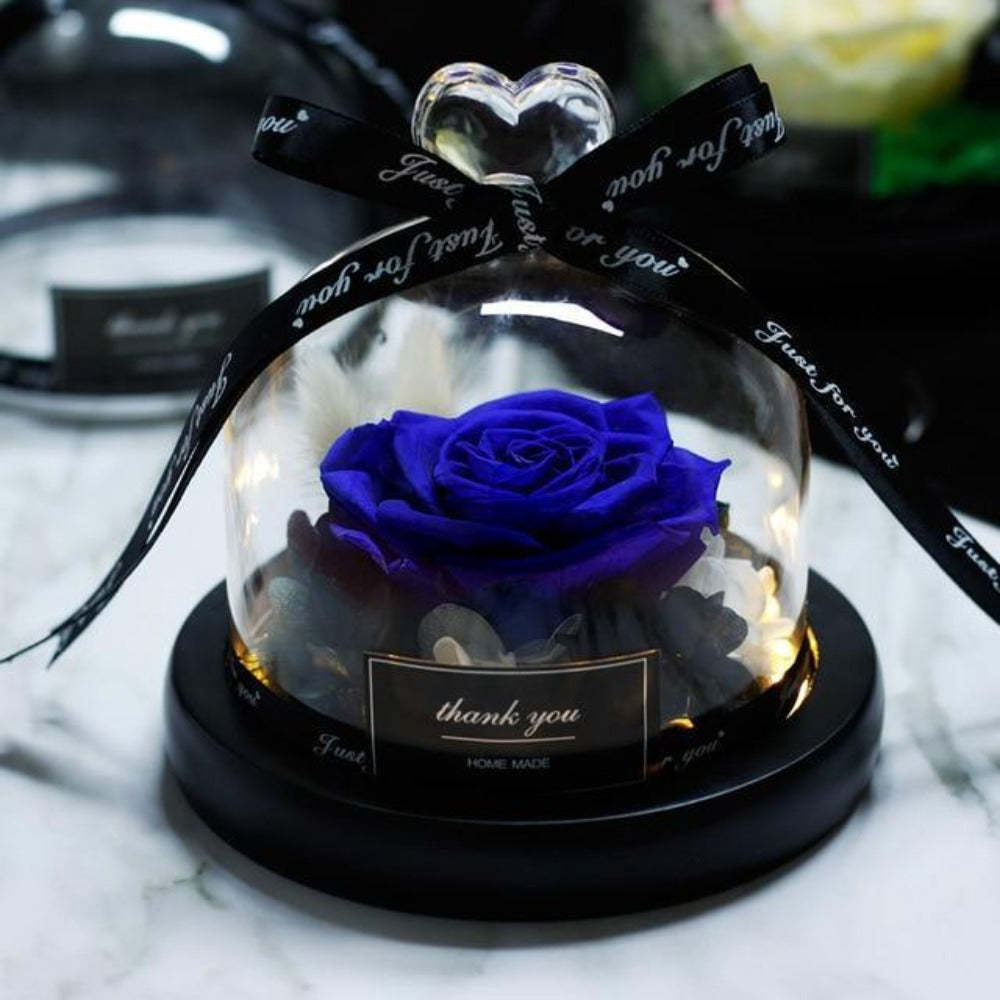 Mother's Day Gift Immortal Enchanted Rose Glass Heart Dome-xinru