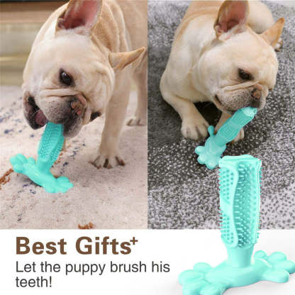Dog Toothbrush Chew Toys Natural Rubber  Toy-xinru