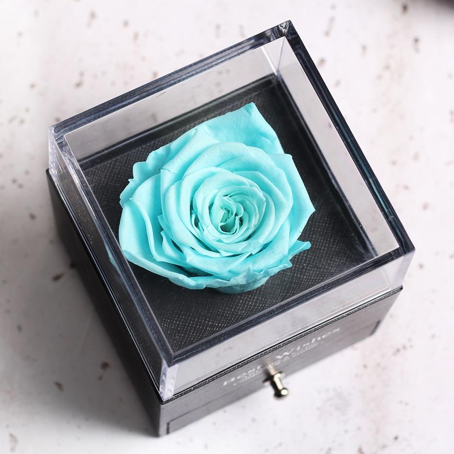 Immortal Preserved Rose Teddy Bear Box Display-xinru