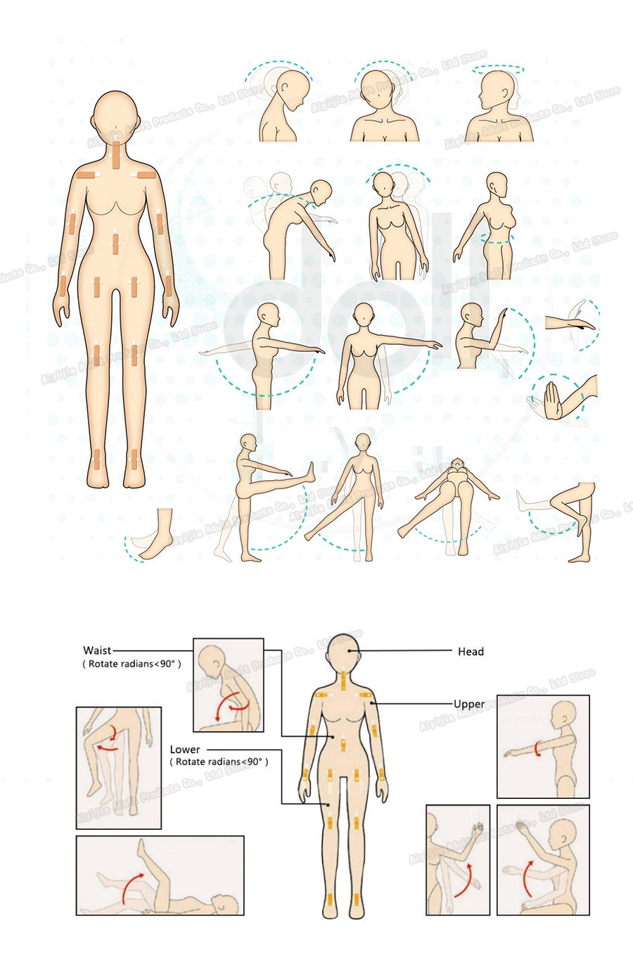 Adult Tpe Lifelike Silicone Love Doll Full body Lifesize | 157cm Real Sex Doll-xinru shop