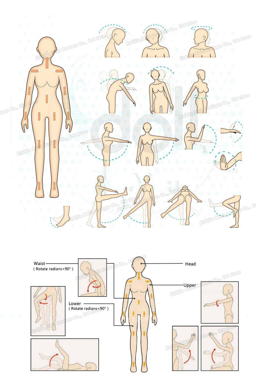 Adult Tpe Lifelike Silicone Love Doll Full body Lifesize | 157cm Real Sex Doll-xinru shop