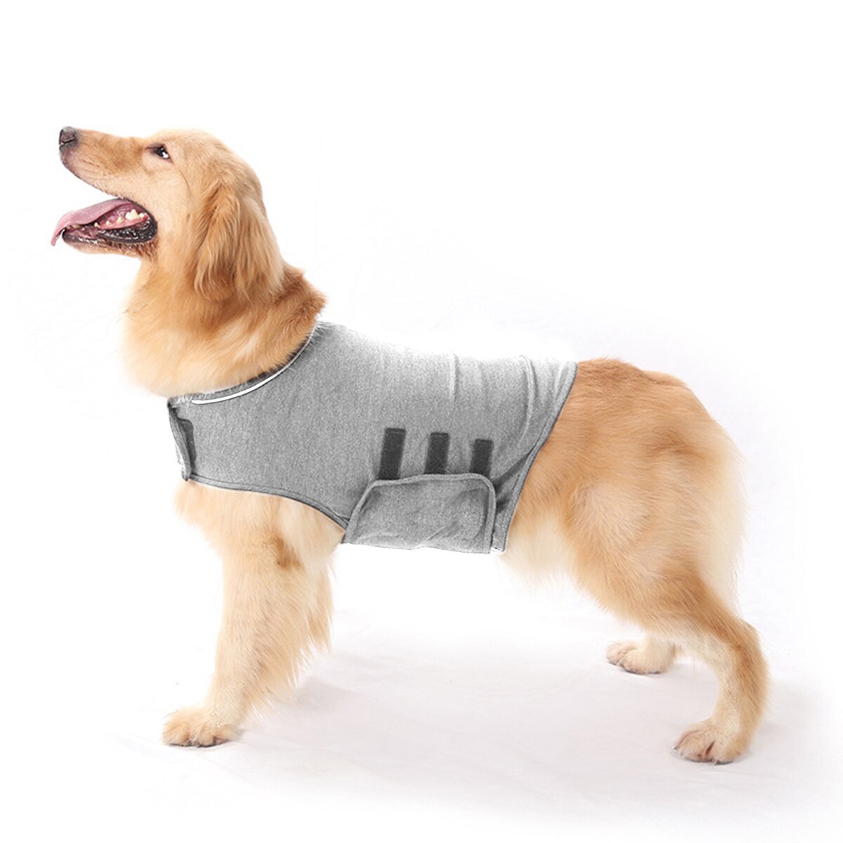 Thunder Jacket for Dogs | Anxiety Jacket for Dogs-xinru