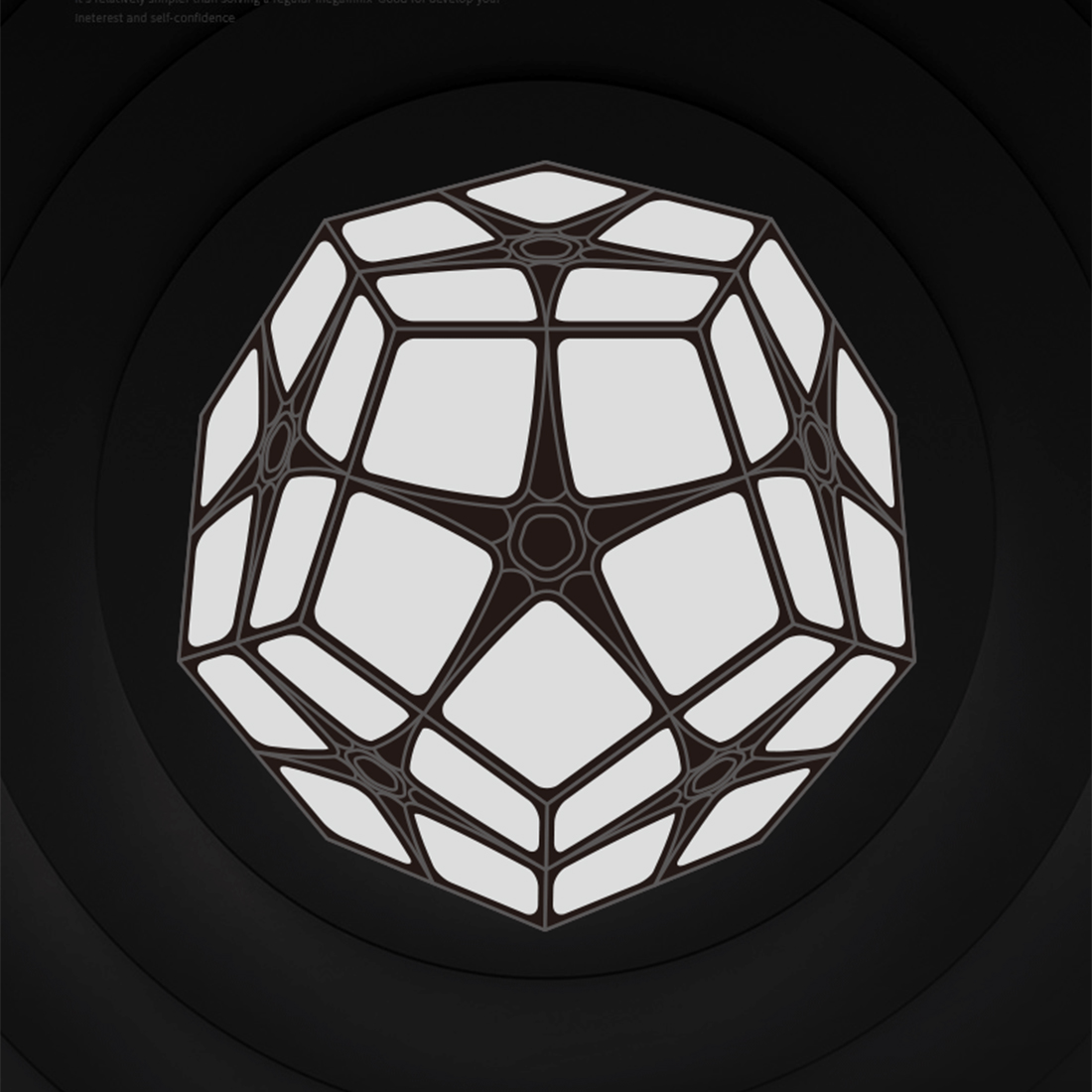 QiYi 2x2 Megaminx-xinru shop