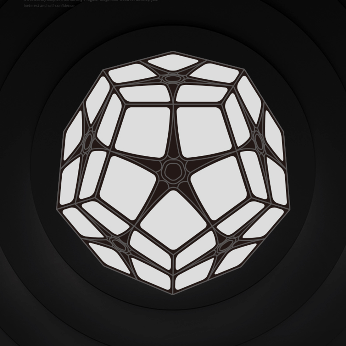 QiYi 2x2 Megaminx-xinru shop