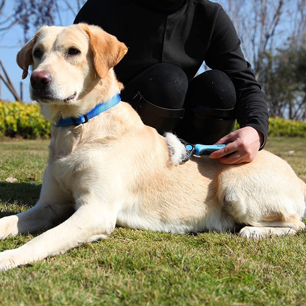 Pet Hair Double Sided Removal Hair Removal Grooming Brush-xinru