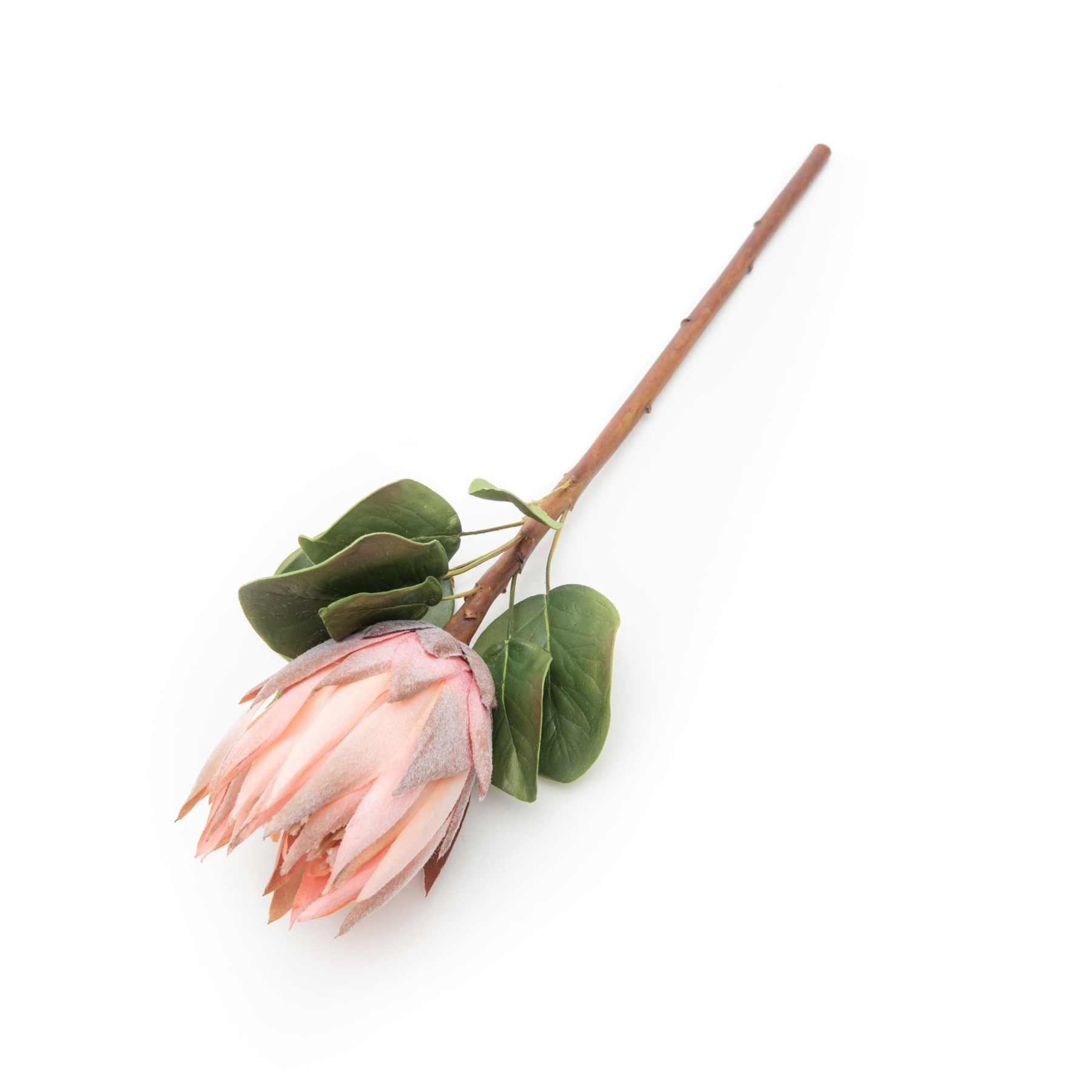 Artificial Pink King Protea 23.5"-xinru shop