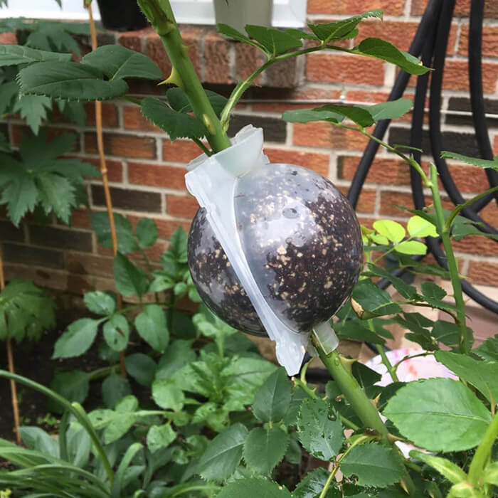 Reusable Air Layering Propagation Balls-xinru