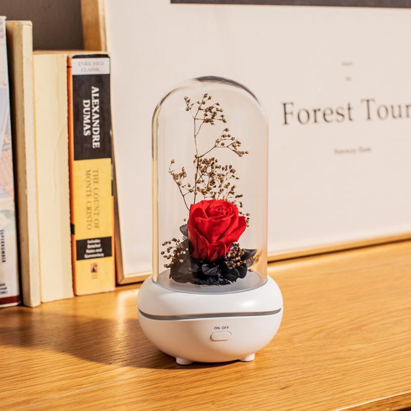 Rose Rechargeable LED Night Light Aroma Diffuser  Aromatherapy Oil  Diffuser-xinru