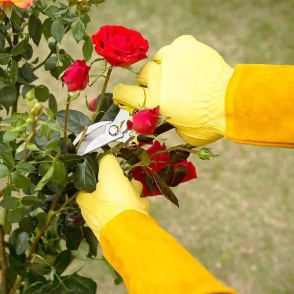 Safety Professional Rose Pruning Thorn Resistant Gardening Gloves-xinru
