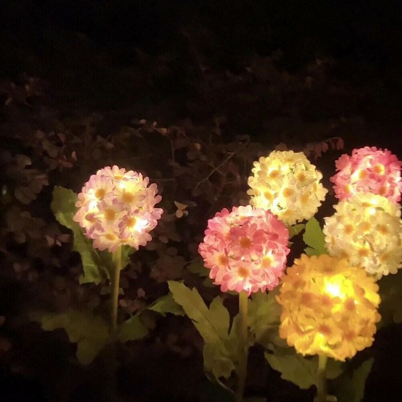 Outdoor Solar LED Light Flower Chrysanthemum Garden Stake-xinru