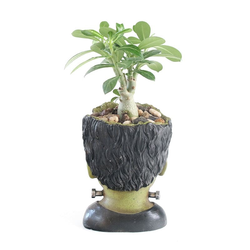 Resin Frankenstein Flower Pot Table Decorations-xinru