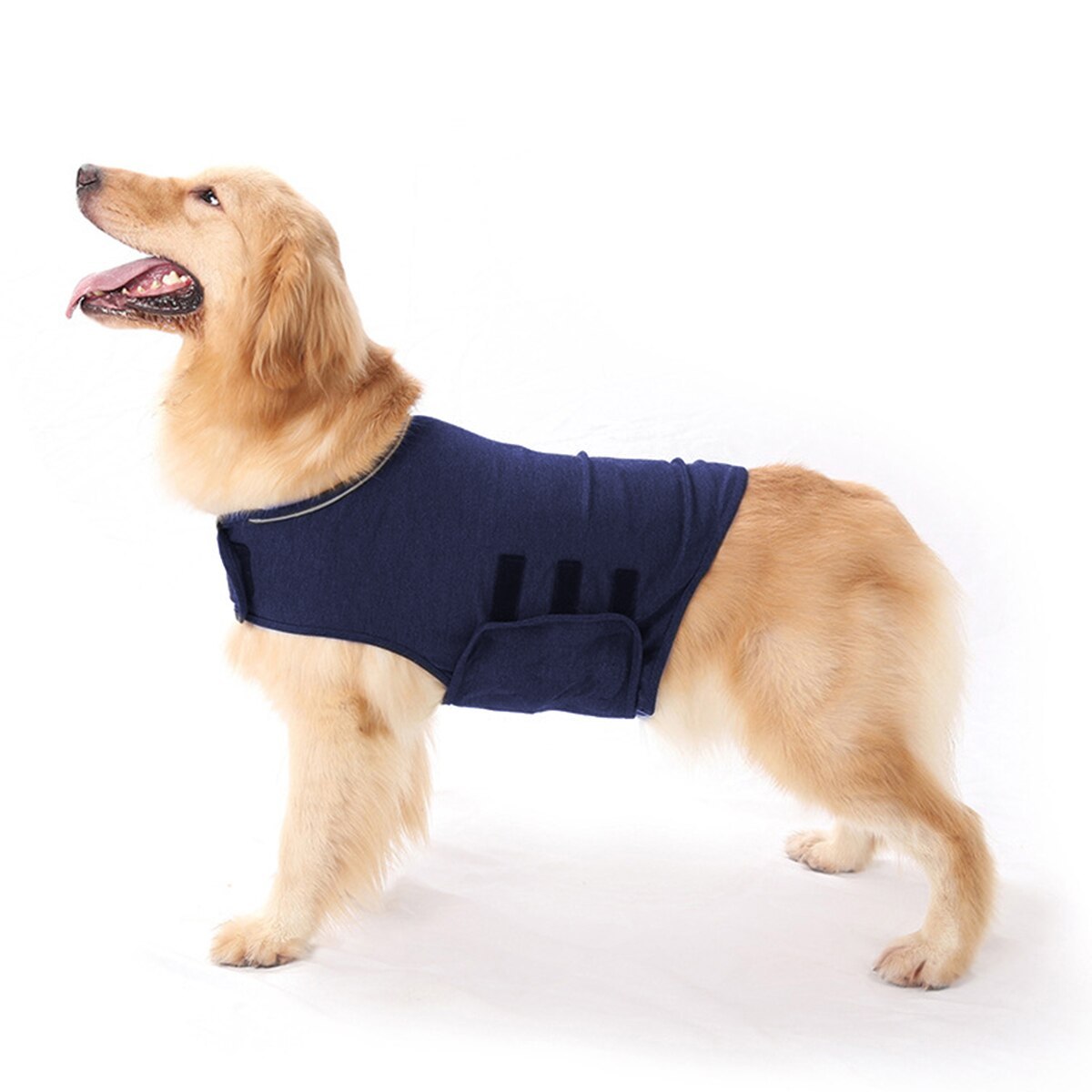 Thunder Jacket for Dogs | Anxiety Jacket for Dogs-xinru
