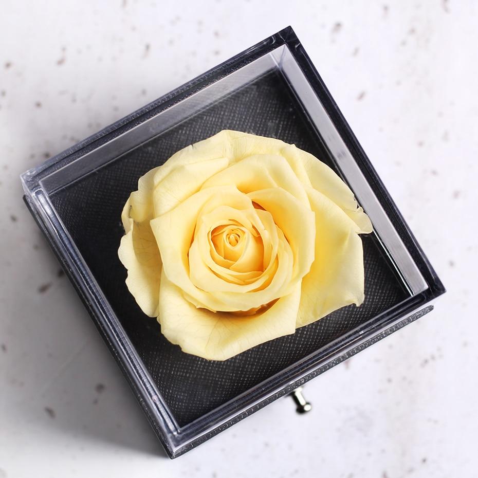 Immortal Preserved Rose Teddy Bear Box Display-xinru