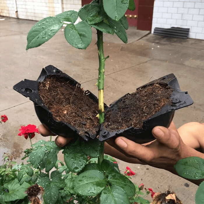 Reusable Air Layering Propagation Balls-xinru
