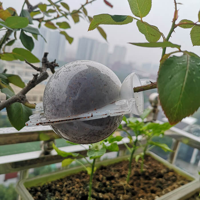 Reusable Air Layering Propagation Balls-xinru