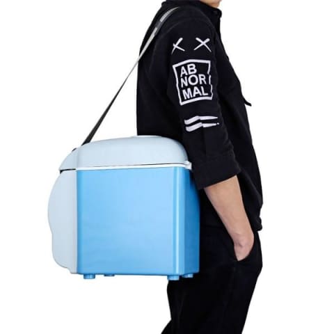 1 Portable Mini Fridge for Cars and Camping