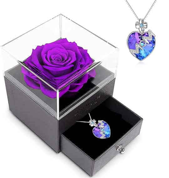 Mother's Day Gift Preserved Red Real Rose With  Necklace-xinru
