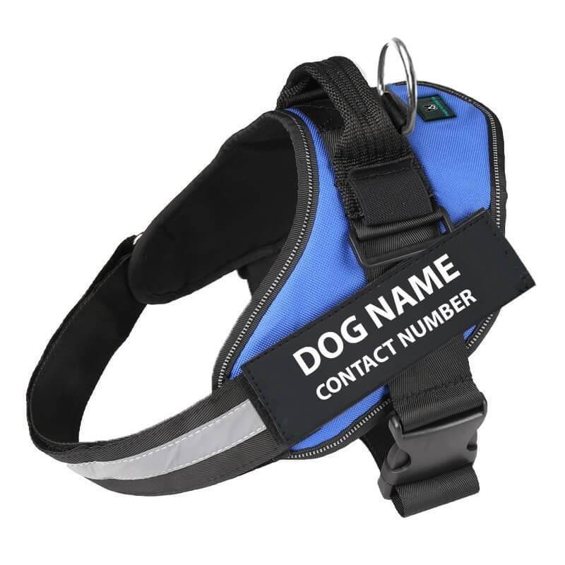 No Pull Custom Name Tag Dog Harness-xinru