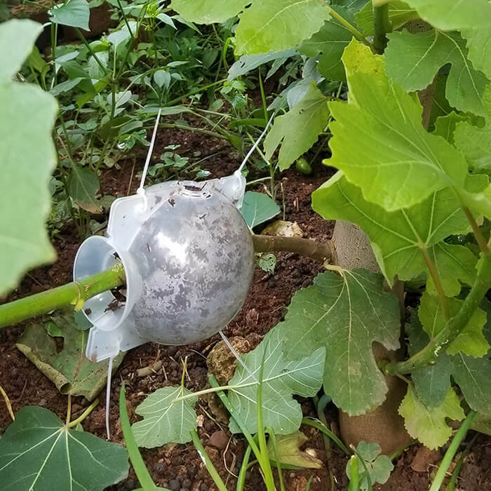 Reusable Air Layering Propagation Balls-xinru