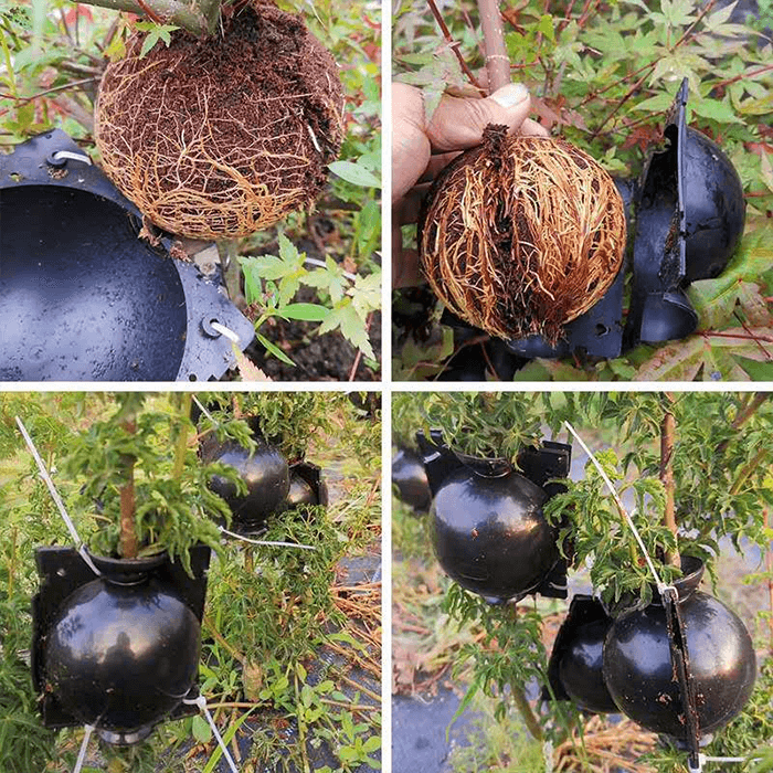 Reusable Air Layering Propagation Balls-xinru