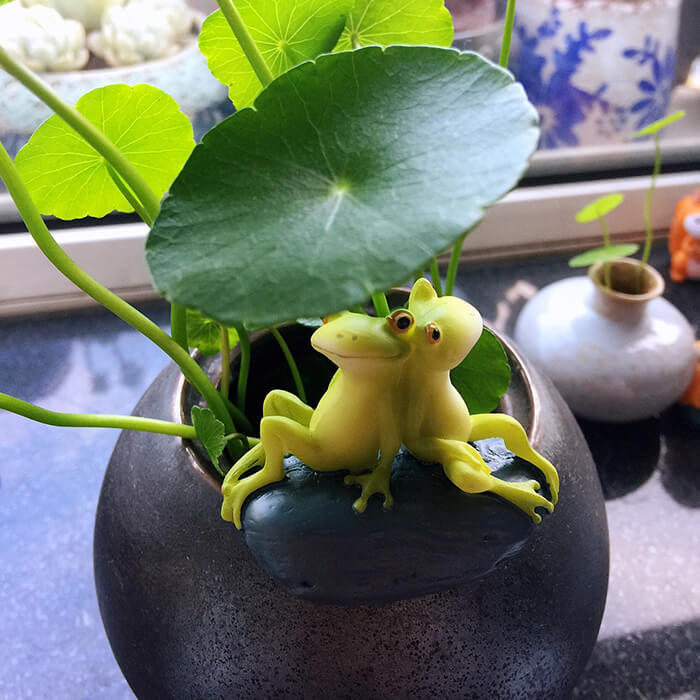 Cute Rural Cartoon Frog Resin Figurine Garden Ornament-xinru